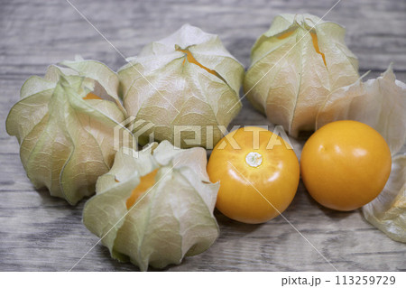 食用ほおずき ゴールデンベリー 113259729