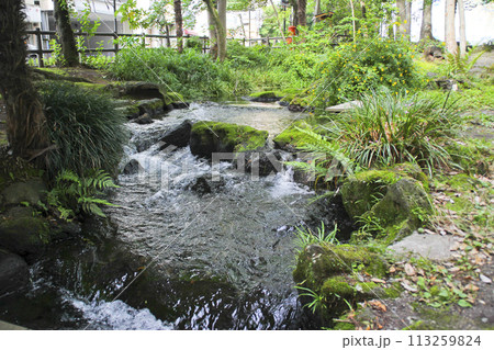 白滝公園／静岡県三島市一番町1 113259824