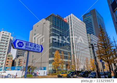 東京　中央区　京橋一丁目交差点からの都市風景 113259873
