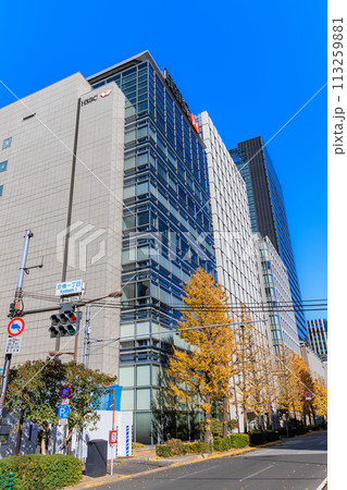 東京 中央区 京橋一丁目交差点からの都市風景 東京 中央区 京橋一丁目交差点からの都市風景 113259881