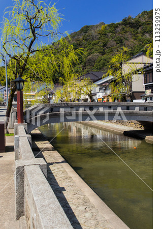城崎温泉～地蔵湯橋から辨天橋方面の眺め～(城崎温泉-兵庫県) 113259975