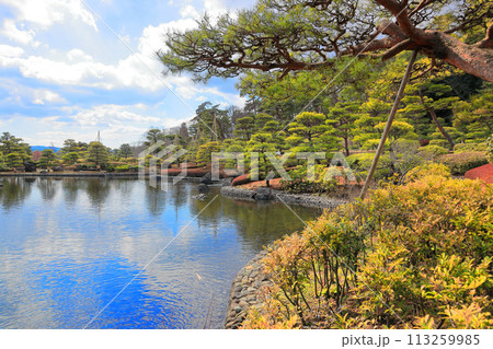 翠楽苑 (すいらくえん)　池泉回遊式の日本庭園 113259985
