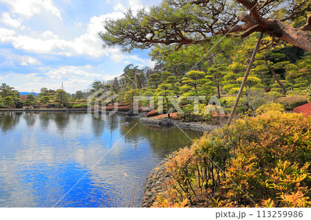 翠楽苑 (すいらくえん)　池泉回遊式の日本庭園 113259986
