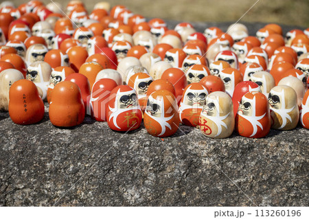 大安寺 だるま 大安寺 だるま 113260196