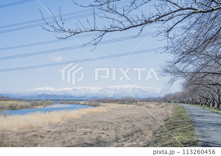 新潟　加治川堤（新発田市） 113260456