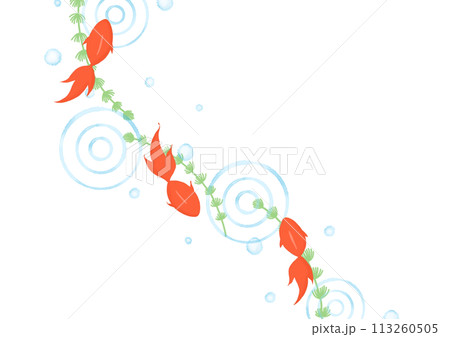 金魚のイラスト 113260505