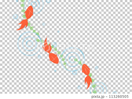 金魚のイラスト 113260505