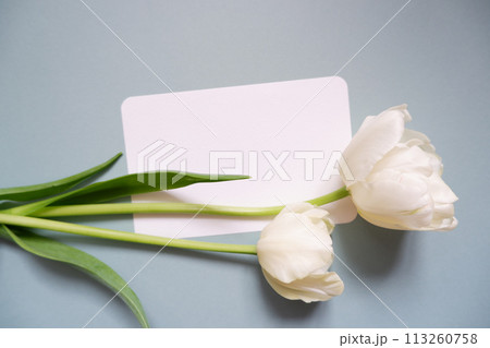 白い紙の上に置いた白いチューリップの花 113260758