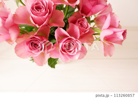 美しいピンクのバラ、華やかなダスティーピンクの薔薇 113260857