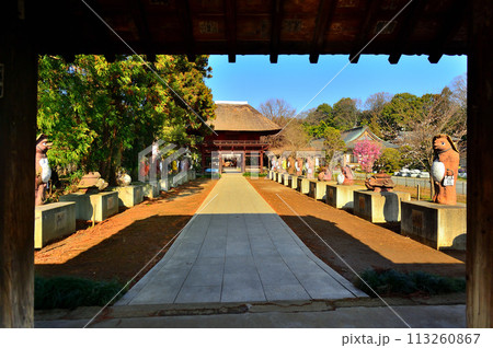 茂林寺の春(群馬県館林市) 茂林寺の春(群馬県館林市) 113260867