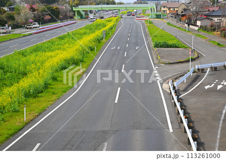 菜の花畑 上尾道路 あおぞら橋歩道橋からの風景 菜の花畑 上尾道路 あおぞら橋歩道橋からの風景 113261000