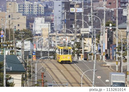 【ロゴ・ナンバー・運転手・車フロントガラスぼかし済】函館市電青柳町電停発車到着する黄色い電車 【ロゴ・ナンバー・運転手・車フロントガラスぼかし済】函館市電青柳町電停発車到着する黄色い電車 113261014