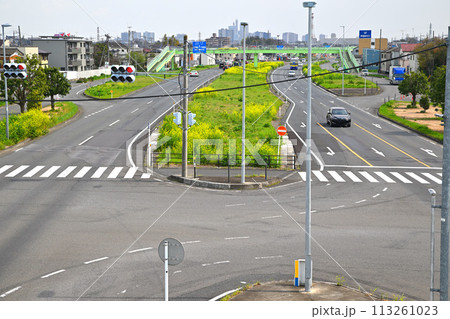 菜の花畑　上尾道路　あおぞら橋歩道橋からの風景　 113261023