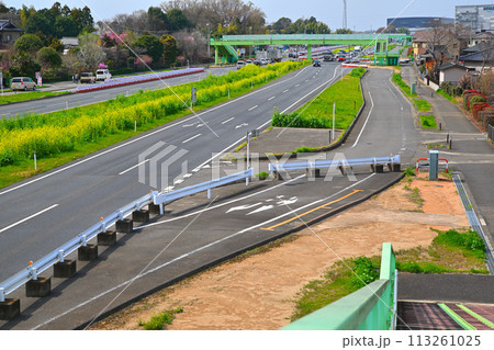 菜の花畑　上尾道路　あおぞら橋歩道橋からの風景　 113261025
