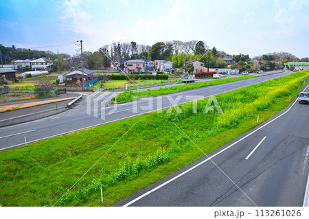 菜の花畑　上尾道路　あおぞら橋歩道橋からの風景　 113261026