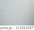 背景・壁紙・外壁・柄・素材 113261087