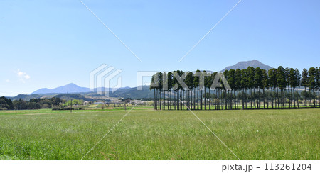 「牧場の桜」から見る霧島連峰 113261204