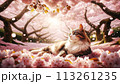 満開の桜の花の穏やかな美しさを楽しんでいる猫。 113261235