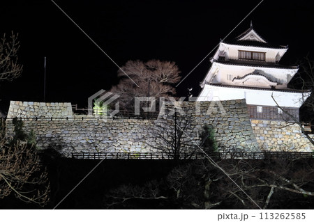 丸亀城の本丸 御三階櫓と石垣 丸亀城の本丸 御三階櫓と石垣 113262585