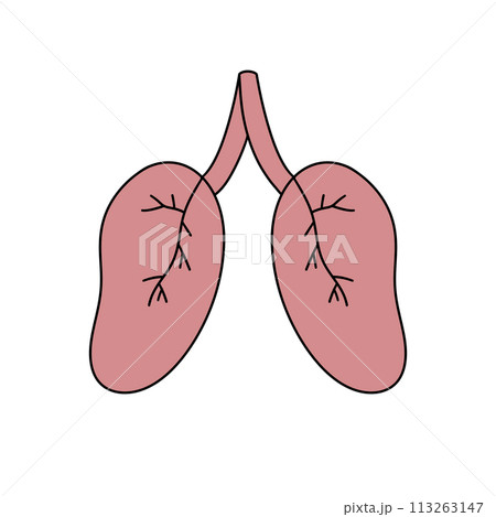 The image is of two lungs, one on the left and one on the right The image is of two lungs, one on the left and one on the right 113263147