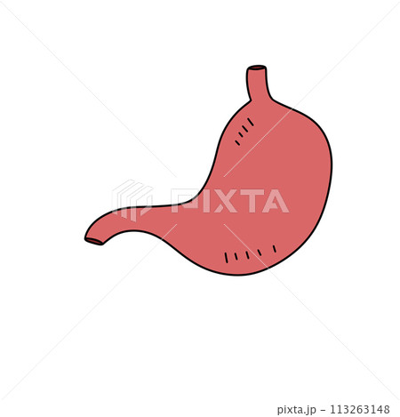 A cartoon drawing of a red stomach A cartoon drawing of a red stomach 113263148
