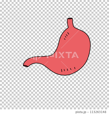 A cartoon drawing of a red stomach A cartoon drawing of a red stomach 113263148