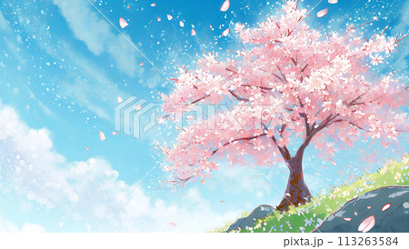 満開の桜 113263584