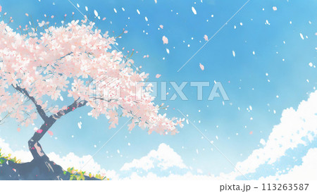 満開の桜 113263587