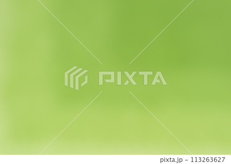 和紙によるボケ味を持つ黄緑色の背景素材 和紙によるボケ味を持つ黄緑色の背景素材 113263627