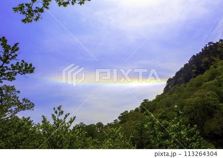 新緑と環水平アーク 113264304