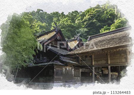 水彩画風　美保神社　本殿　島根県松江市 113264483
