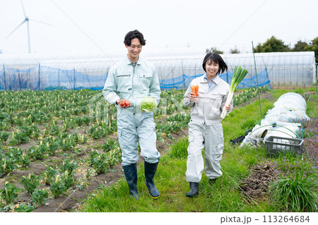 農作物を持つ農家の若い男女 農作物を持つ農家の若い男女 113264684