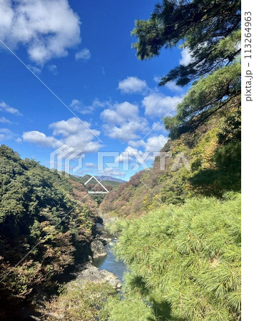 渓谷に架かる橋　高津戸峡 113264963