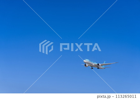 《飛行機》ボーイング Boeing 787 > 787-9　大韓航空 113265011