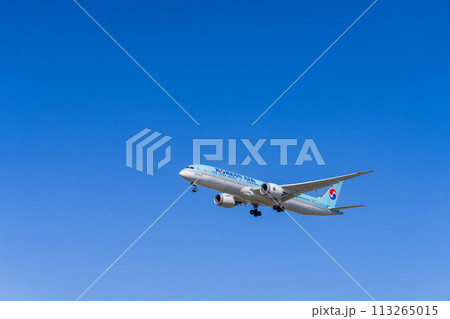 《飛行機》ボーイング Boeing 787 > 787-9　大韓航空 113265015