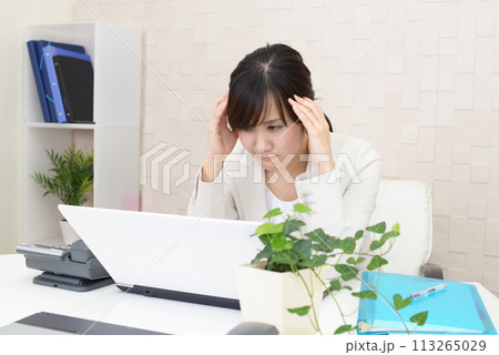 途方に暮れる女性社員 113265029