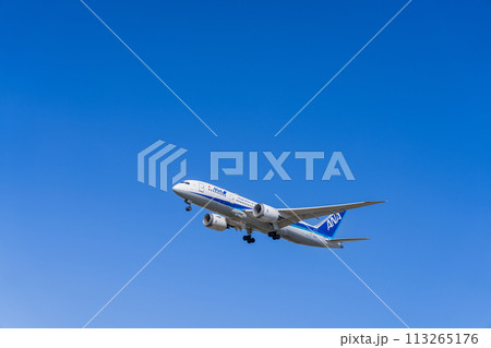 《飛行機》ボーイング Boeing 787 > 787-8 Dreamliner（全日空） 113265176