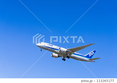 《飛行機》ボーイング Boeing 787 > 787-8 Dreamliner（全日空） 113265177