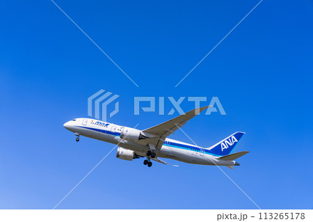 《飛行機》ボーイング Boeing 787 > 787-8 Dreamliner（全日空） 113265178