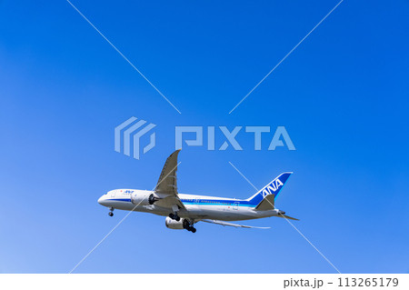 《飛行機》ボーイング Boeing 787 > 787-8 Dreamliner(全日空) 《飛行機》ボーイング Boeing 787 > 787-8 Dreamliner(全日空) 113265179