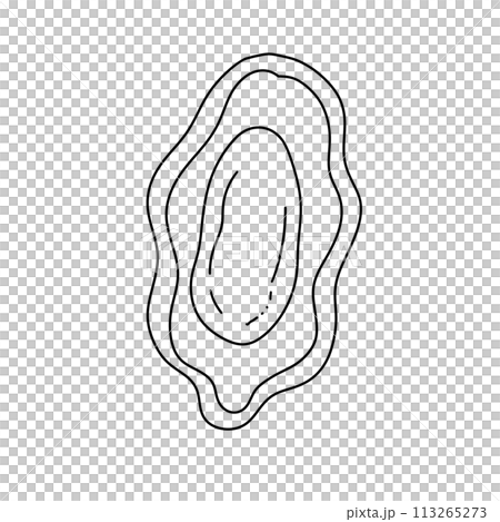 A drawing of a shell with a letter O on it 113265273