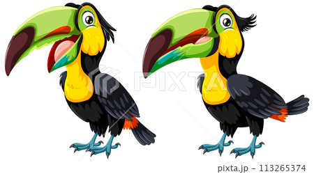 Colorful Toucans in Vector Art Style 113265374