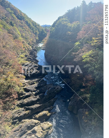 紅葉に染まる渓谷 113265798