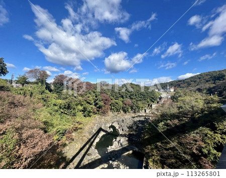 秋のはねたき橋から見た風景 113265801
