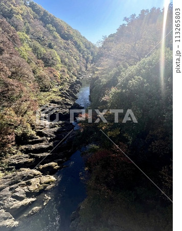 紅葉に染まる渓谷 紅葉に染まる渓谷 113265803