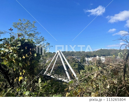 山の上にある吊り橋 113265804