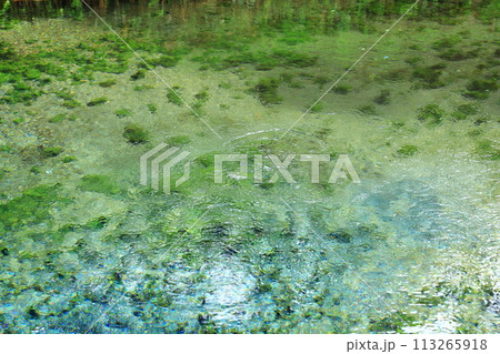 名水白川水源 113265918