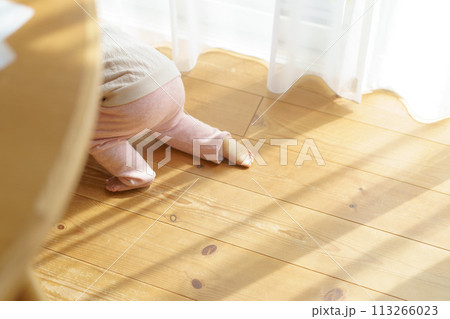 床をハイハイする赤ちゃん 113266023