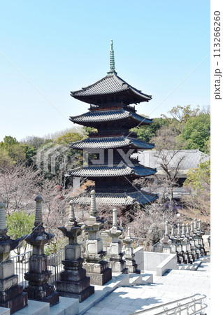 興正寺境内高場から五重塔を見る 113266260