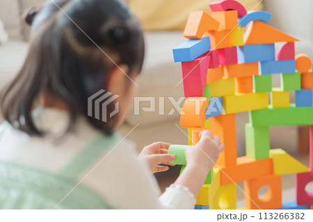 おもちゃのブロックで遊ぶ子供 おもちゃのブロックで遊ぶ子供 113266382